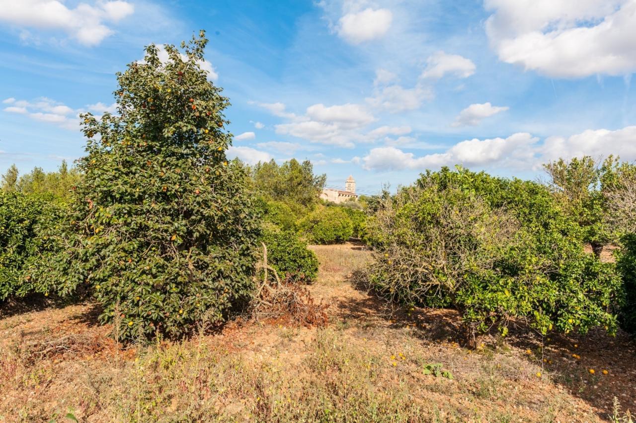 Ses Covetes Villa Petra  Dış mekan fotoğraf